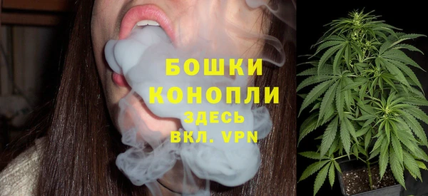 бошки Дмитров